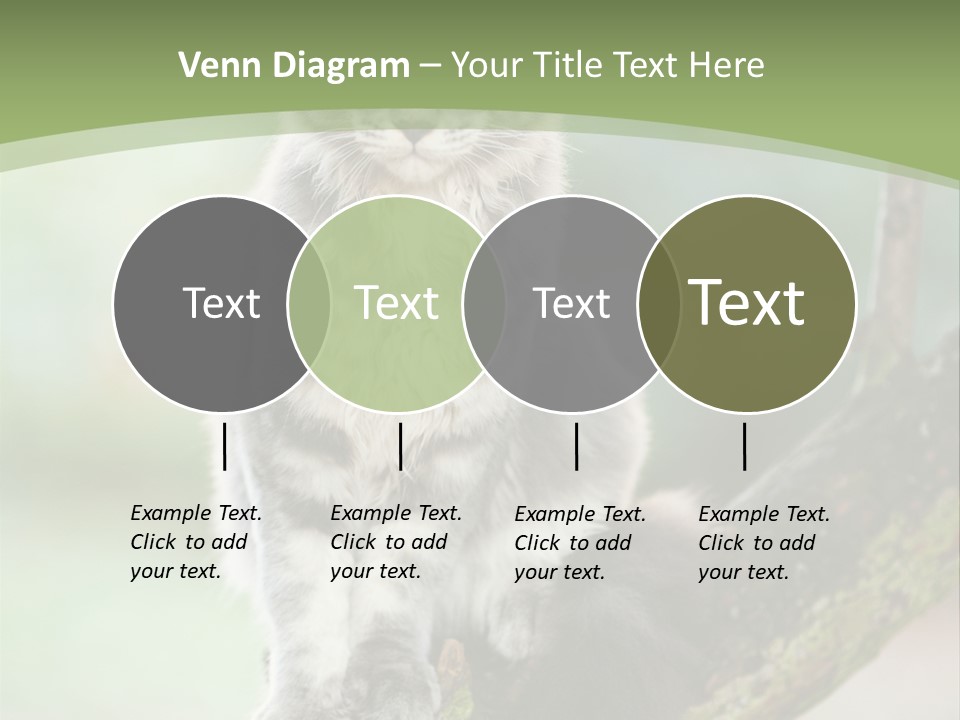 A Cat Sitting On A Tree Branch Powerpoint Template PowerPoint Template