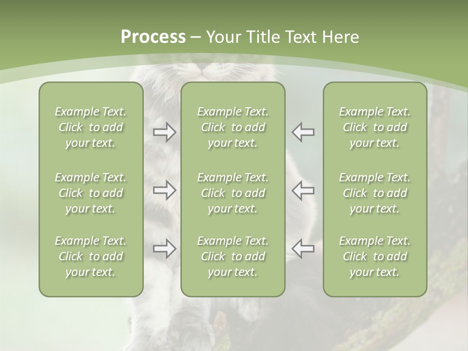 A Cat Sitting On A Tree Branch Powerpoint Template PowerPoint Template