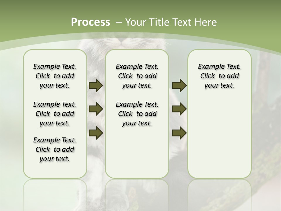 A Cat Sitting On A Tree Branch Powerpoint Template PowerPoint Template