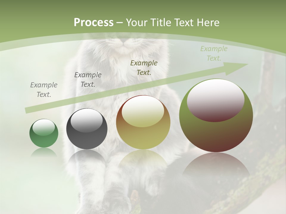 A Cat Sitting On A Tree Branch Powerpoint Template PowerPoint Template