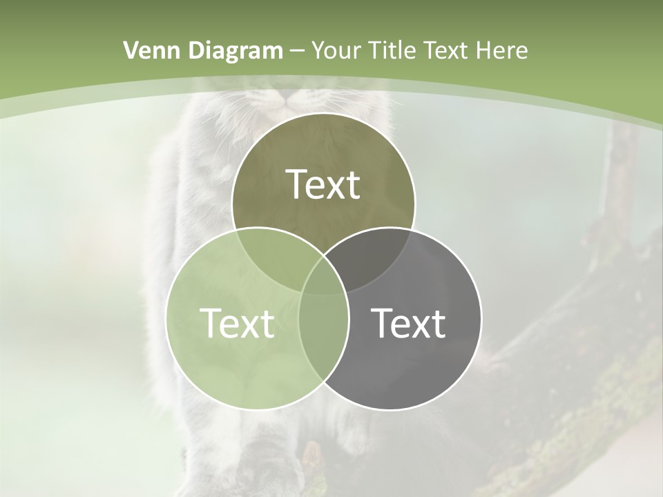 A Cat Sitting On A Tree Branch Powerpoint Template PowerPoint Template