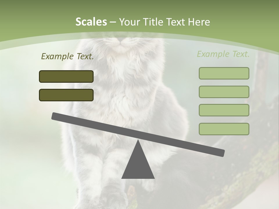 A Cat Sitting On A Tree Branch Powerpoint Template PowerPoint Template