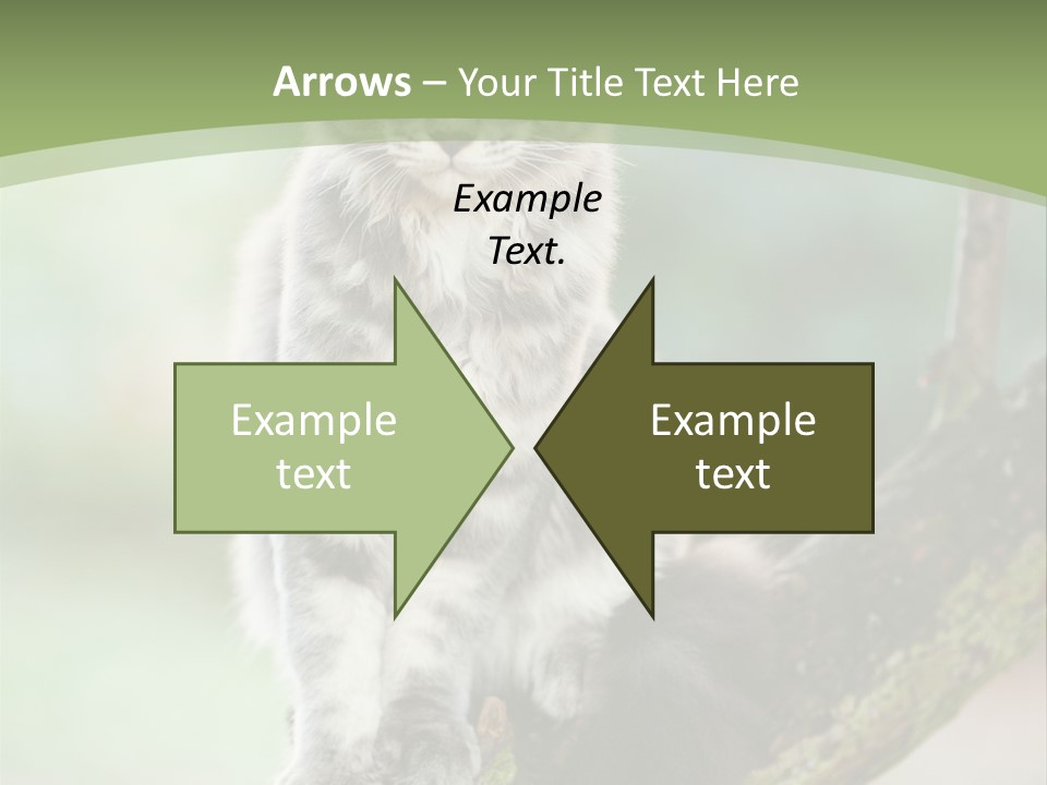 A Cat Sitting On A Tree Branch Powerpoint Template PowerPoint Template