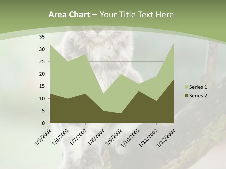 A Cat Sitting On A Tree Branch Powerpoint Template PowerPoint Template