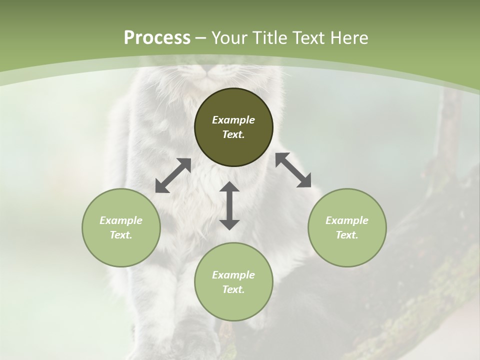 A Cat Sitting On A Tree Branch Powerpoint Template PowerPoint Template