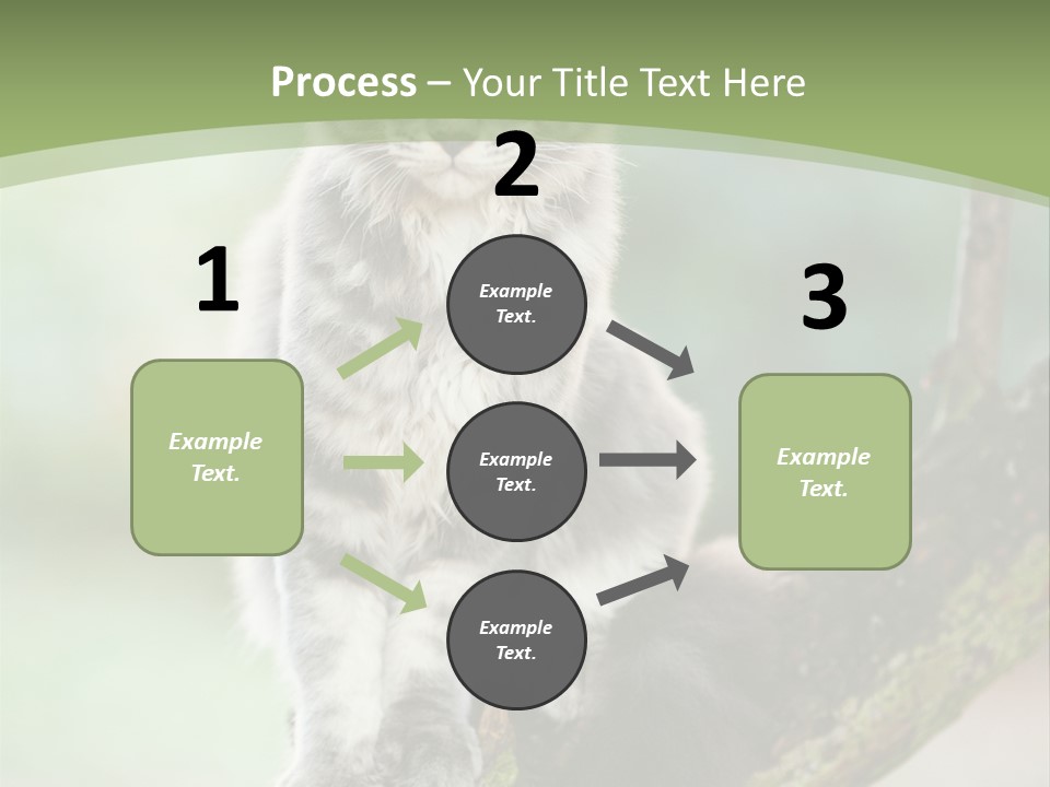 A Cat Sitting On A Tree Branch Powerpoint Template PowerPoint Template