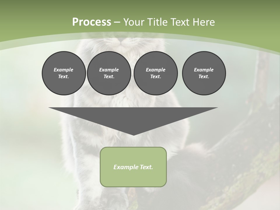 A Cat Sitting On A Tree Branch Powerpoint Template PowerPoint Template