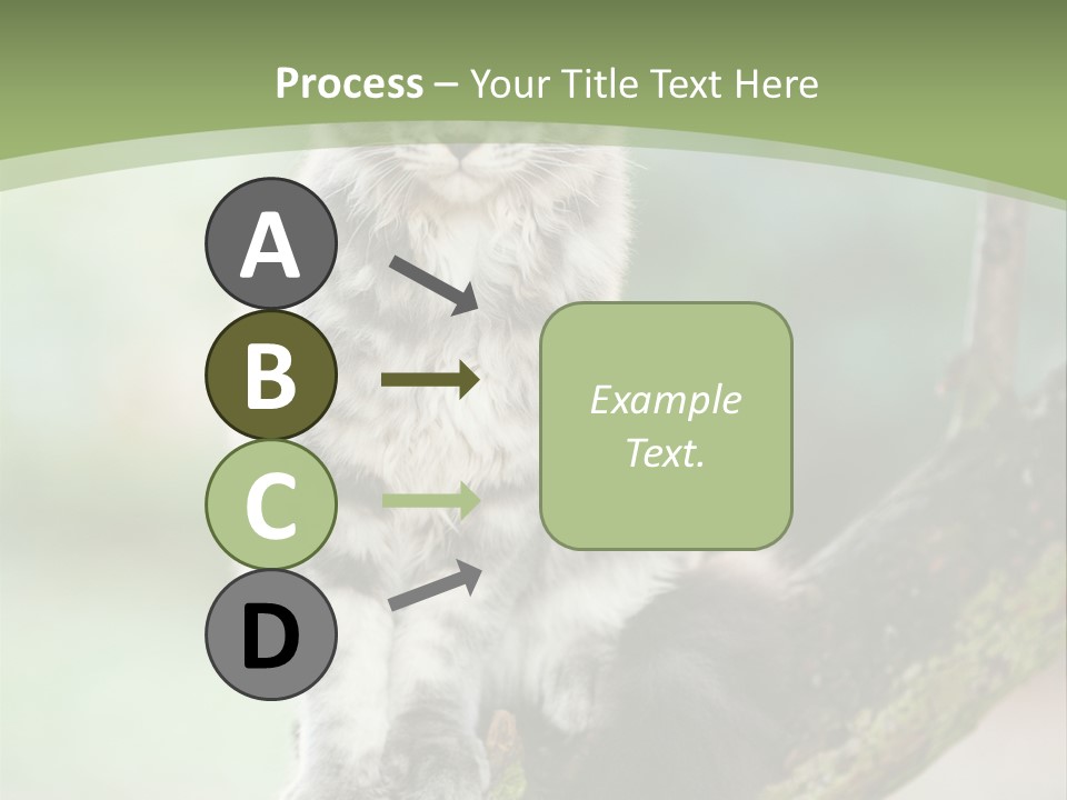 A Cat Sitting On A Tree Branch Powerpoint Template PowerPoint Template