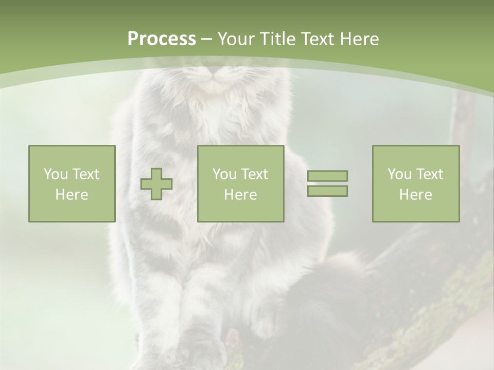 A Cat Sitting On A Tree Branch Powerpoint Template PowerPoint Template