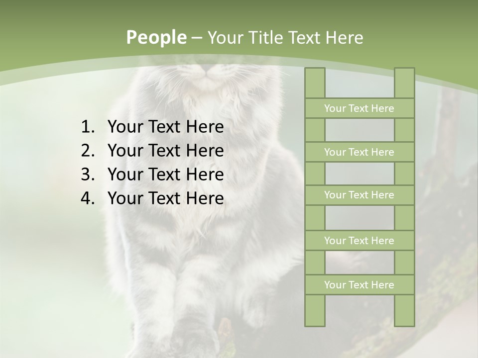 A Cat Sitting On A Tree Branch Powerpoint Template PowerPoint Template