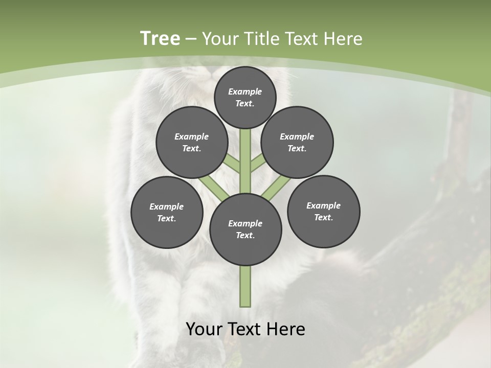 A Cat Sitting On A Tree Branch Powerpoint Template PowerPoint Template
