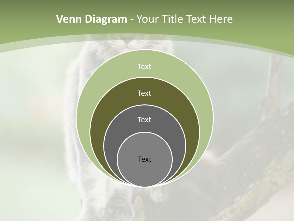 A Cat Sitting On A Tree Branch Powerpoint Template PowerPoint Template