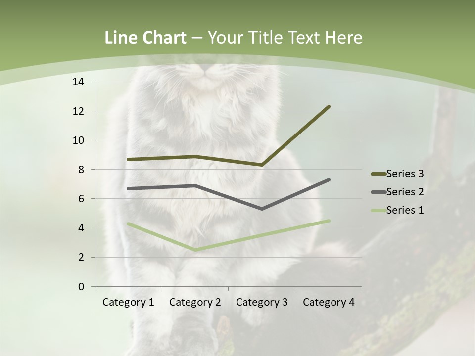 A Cat Sitting On A Tree Branch Powerpoint Template PowerPoint Template