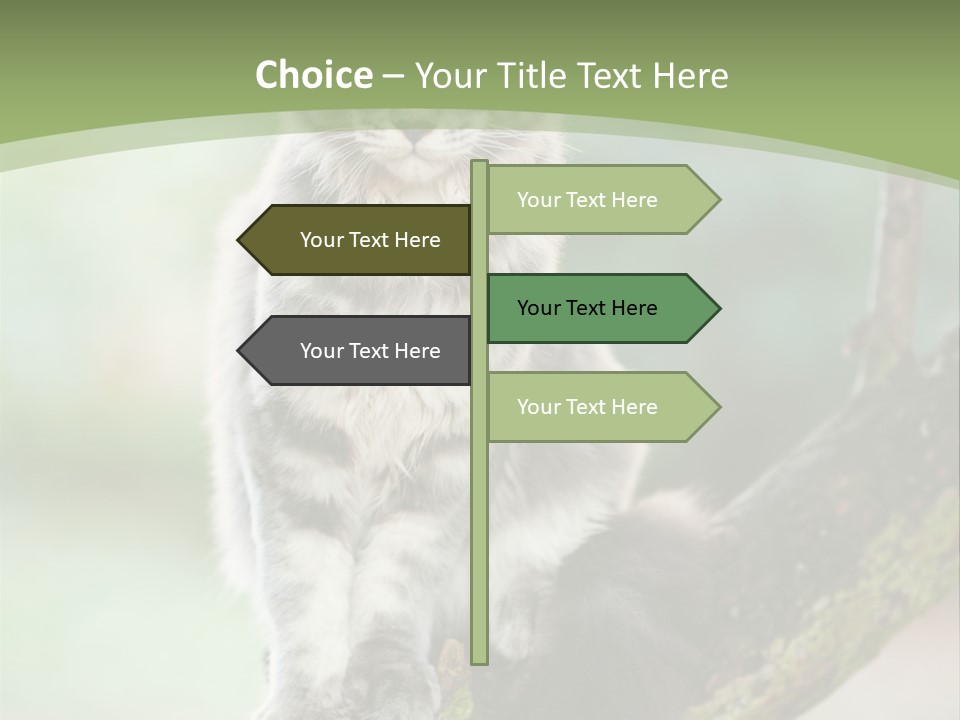 A Cat Sitting On A Tree Branch Powerpoint Template PowerPoint Template