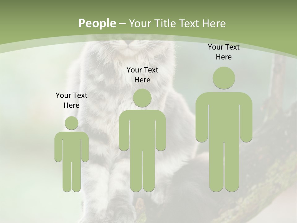 A Cat Sitting On A Tree Branch Powerpoint Template PowerPoint Template