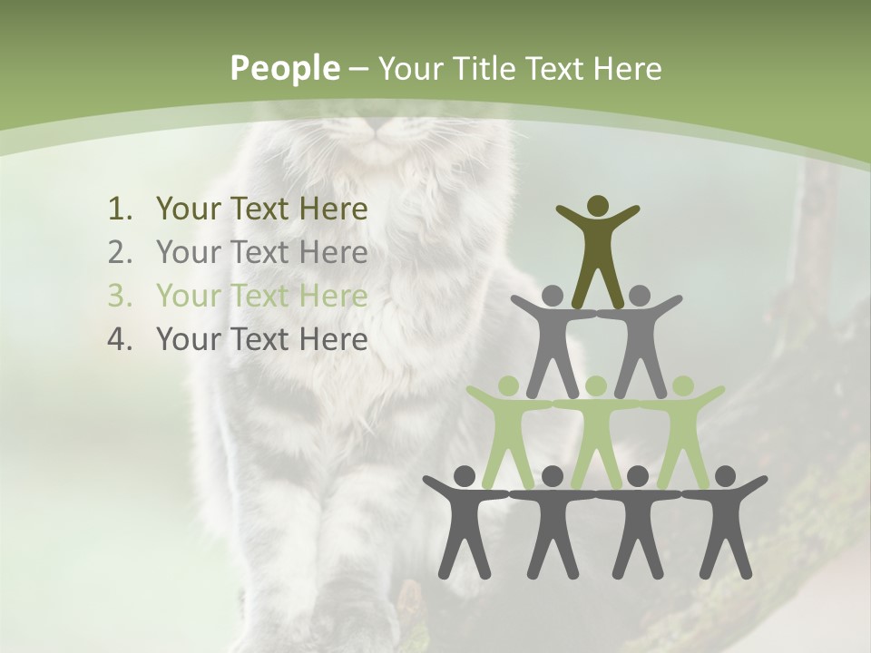 A Cat Sitting On A Tree Branch Powerpoint Template PowerPoint Template