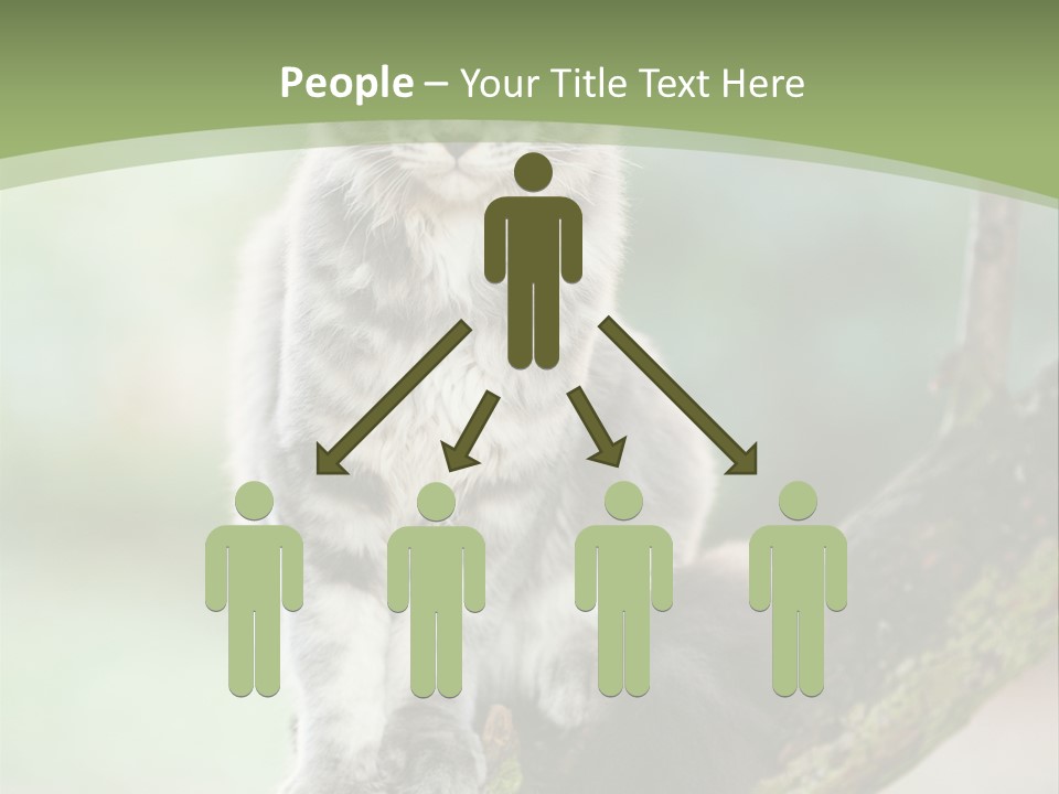 A Cat Sitting On A Tree Branch Powerpoint Template PowerPoint Template