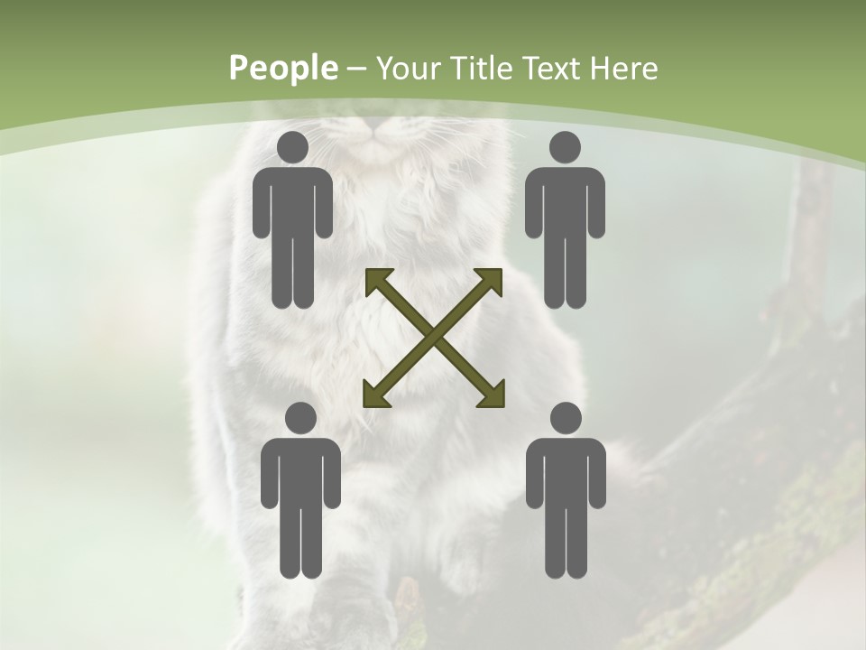 A Cat Sitting On A Tree Branch Powerpoint Template PowerPoint Template