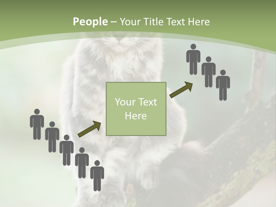 A Cat Sitting On A Tree Branch Powerpoint Template PowerPoint Template