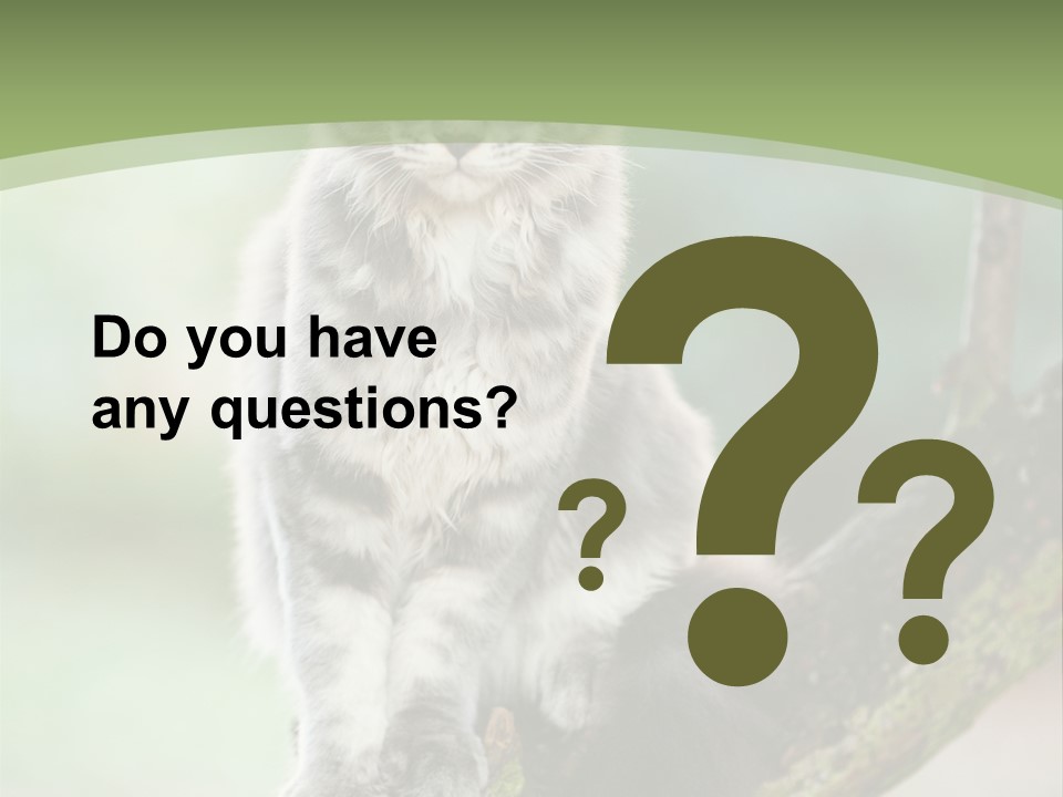 A Cat Sitting On A Tree Branch Powerpoint Template PowerPoint Template