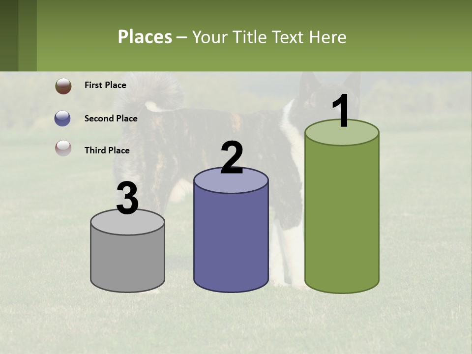 A Brown And White Dog Standing On Top Of A Lush Green Field PowerPoint Template