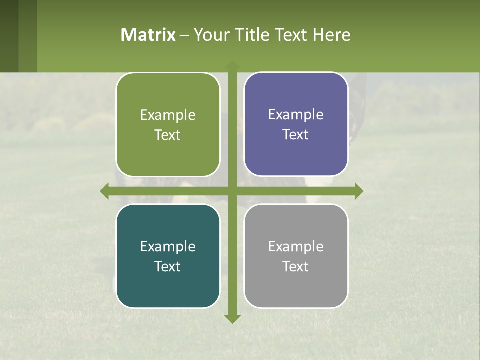 A Brown And White Dog Standing On Top Of A Lush Green Field PowerPoint Template