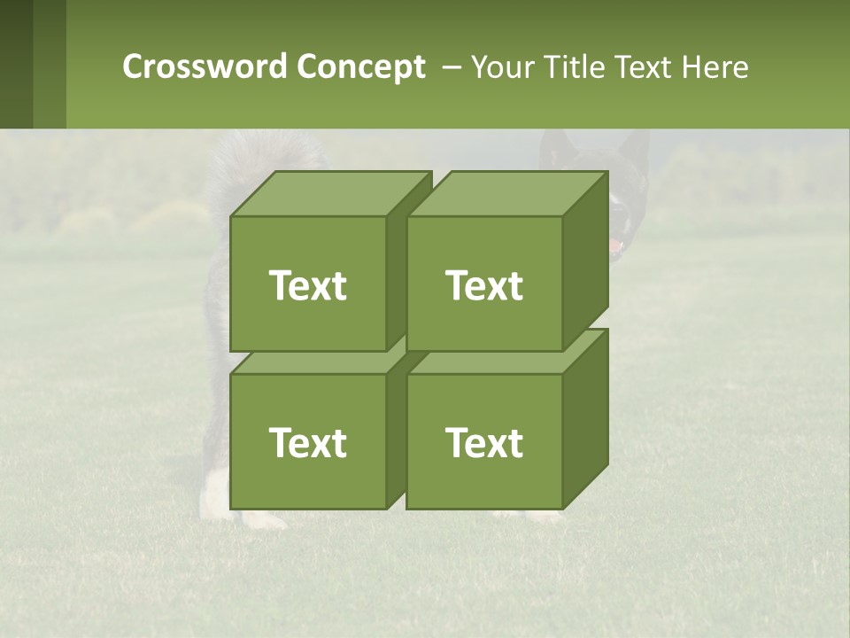 A Brown And White Dog Standing On Top Of A Lush Green Field PowerPoint Template