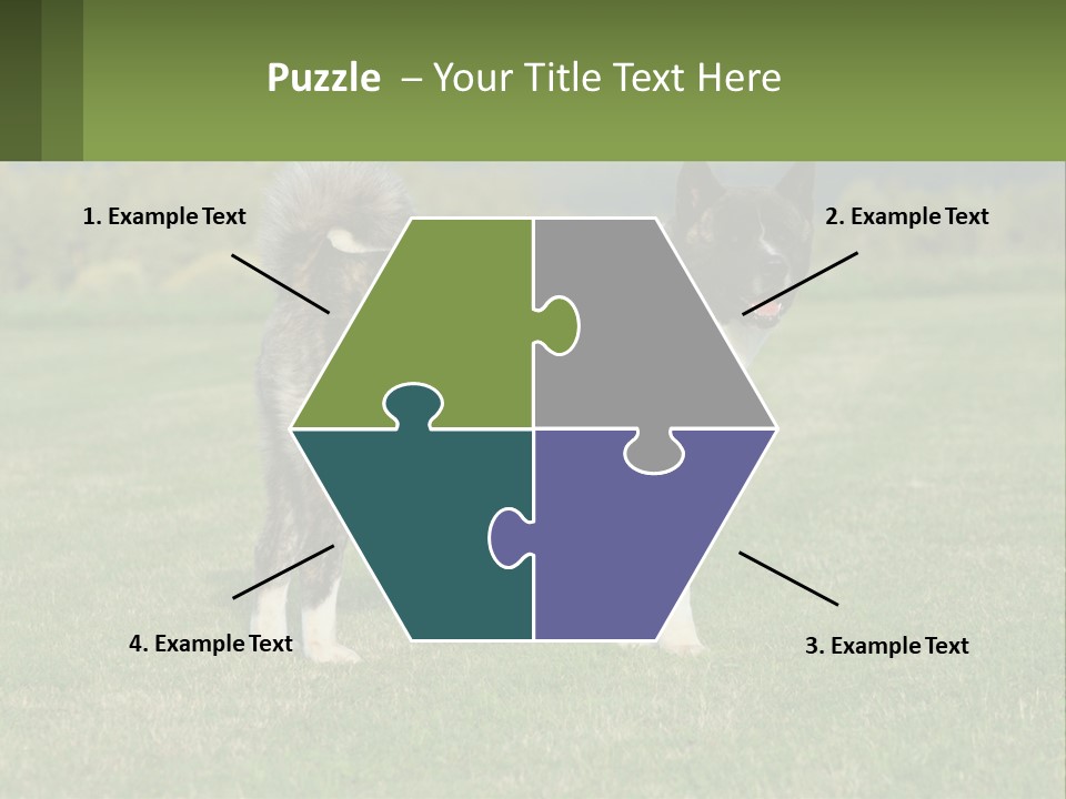 A Brown And White Dog Standing On Top Of A Lush Green Field PowerPoint Template