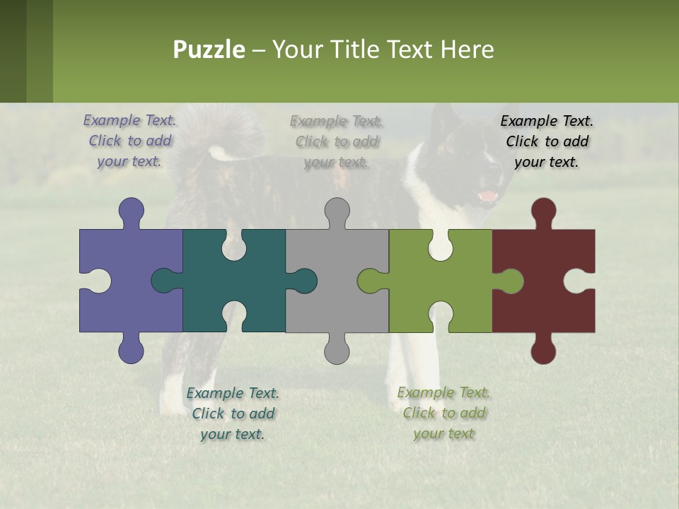 A Brown And White Dog Standing On Top Of A Lush Green Field PowerPoint Template