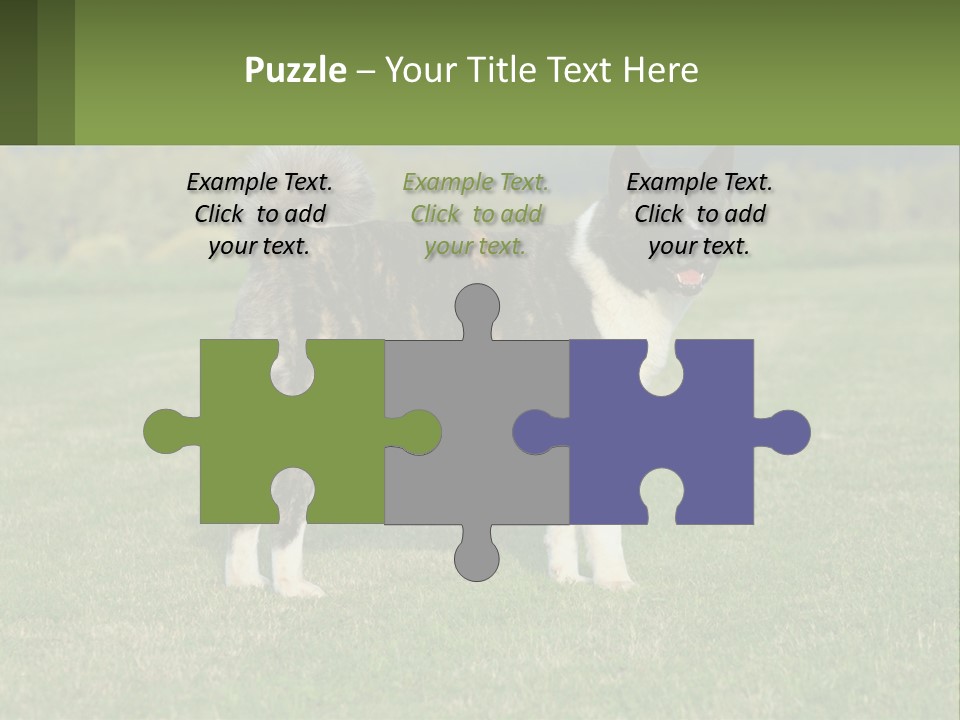 A Brown And White Dog Standing On Top Of A Lush Green Field PowerPoint Template