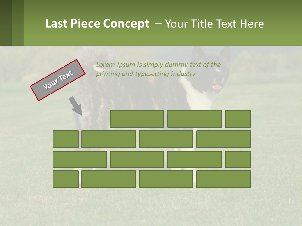 A Brown And White Dog Standing On Top Of A Lush Green Field PowerPoint Template