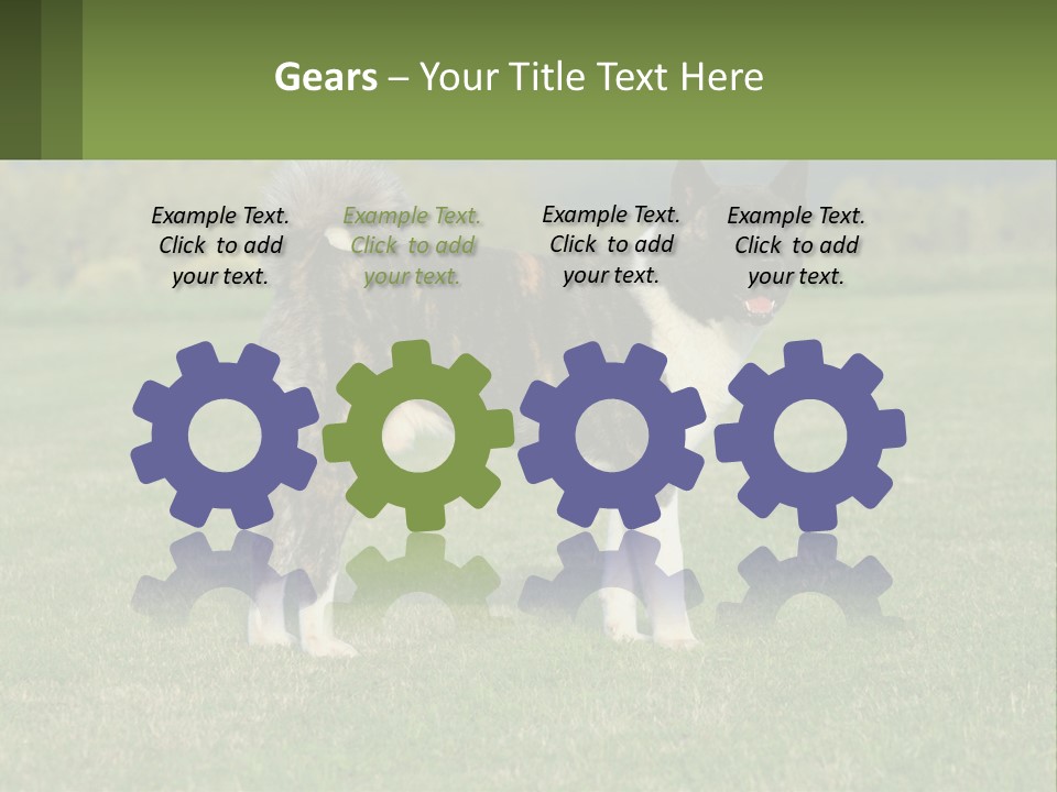 A Brown And White Dog Standing On Top Of A Lush Green Field PowerPoint Template