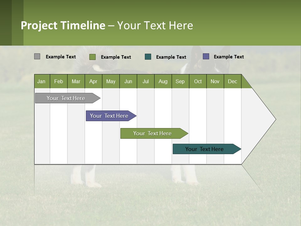 A Brown And White Dog Standing On Top Of A Lush Green Field PowerPoint Template