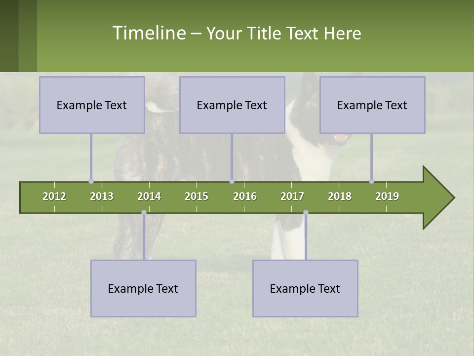 A Brown And White Dog Standing On Top Of A Lush Green Field PowerPoint Template