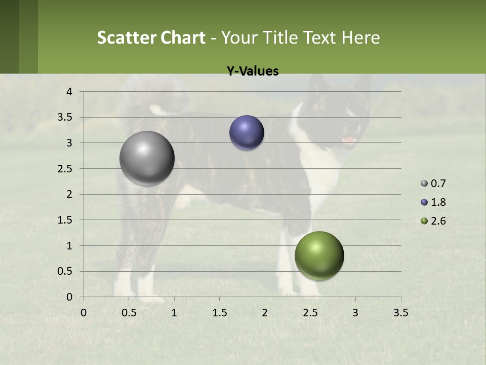 A Brown And White Dog Standing On Top Of A Lush Green Field PowerPoint Template