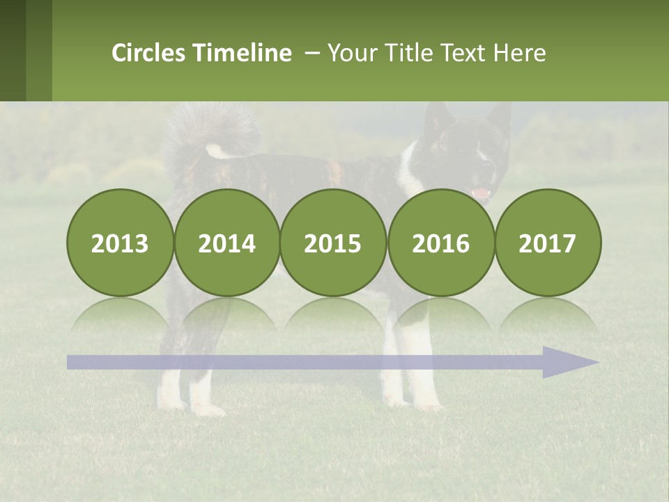 A Brown And White Dog Standing On Top Of A Lush Green Field PowerPoint Template