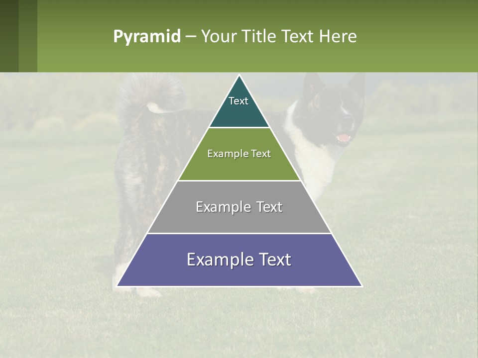 A Brown And White Dog Standing On Top Of A Lush Green Field PowerPoint Template
