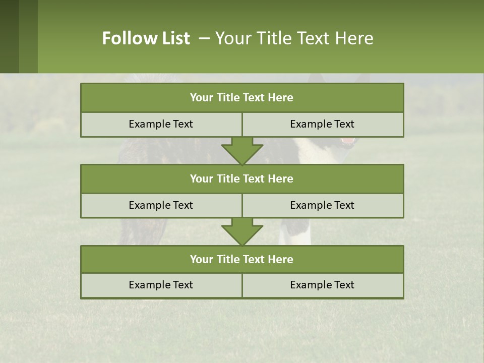 A Brown And White Dog Standing On Top Of A Lush Green Field PowerPoint Template