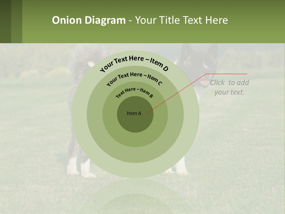 A Brown And White Dog Standing On Top Of A Lush Green Field PowerPoint Template