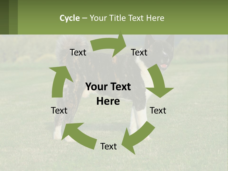 A Brown And White Dog Standing On Top Of A Lush Green Field PowerPoint Template