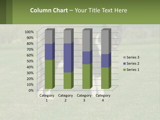 A Brown And White Dog Standing On Top Of A Lush Green Field PowerPoint Template