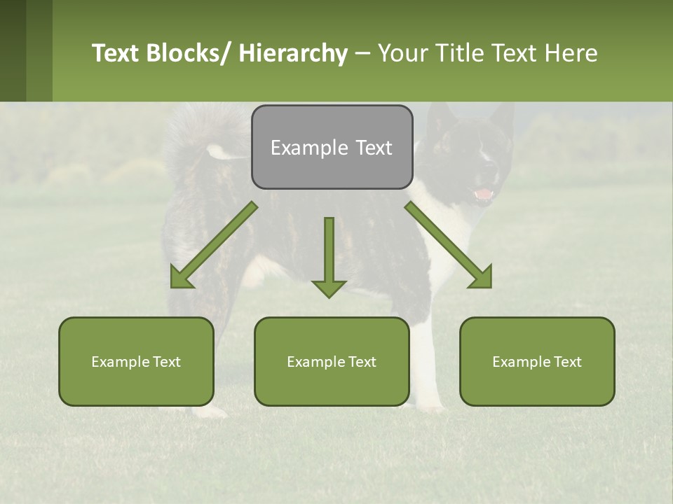 A Brown And White Dog Standing On Top Of A Lush Green Field PowerPoint Template