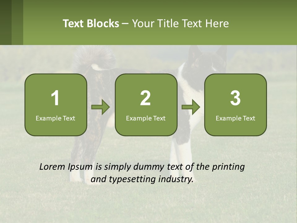 A Brown And White Dog Standing On Top Of A Lush Green Field PowerPoint Template