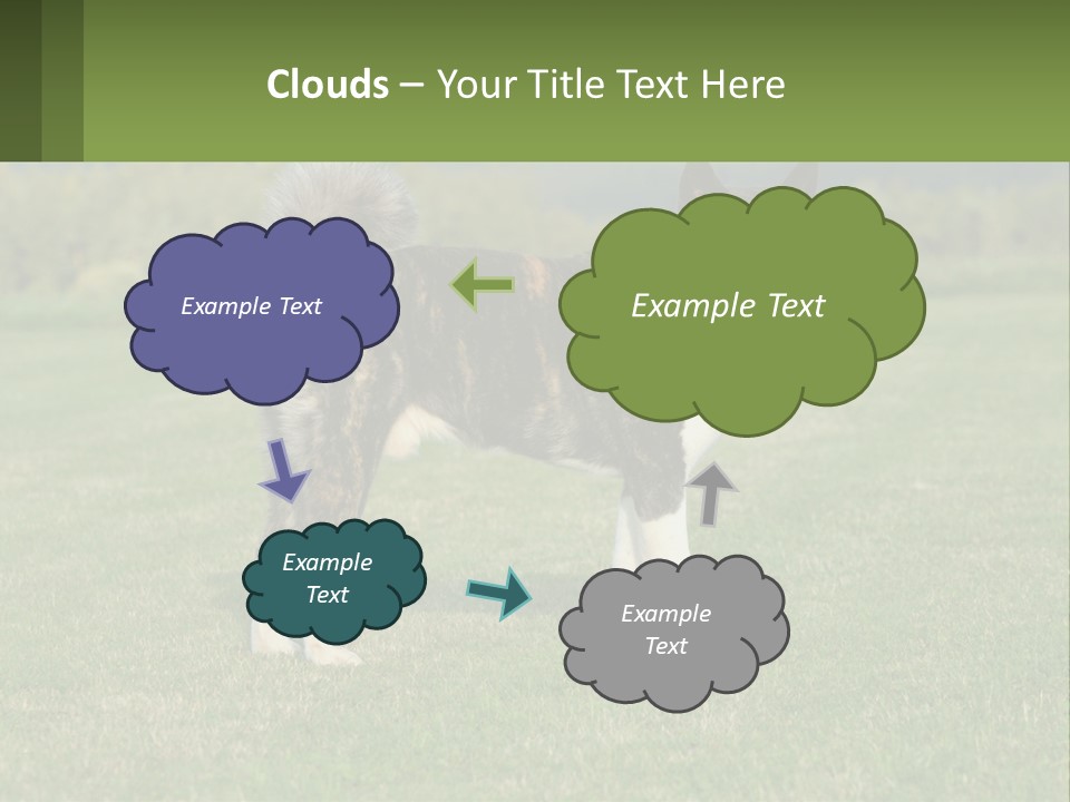A Brown And White Dog Standing On Top Of A Lush Green Field PowerPoint Template