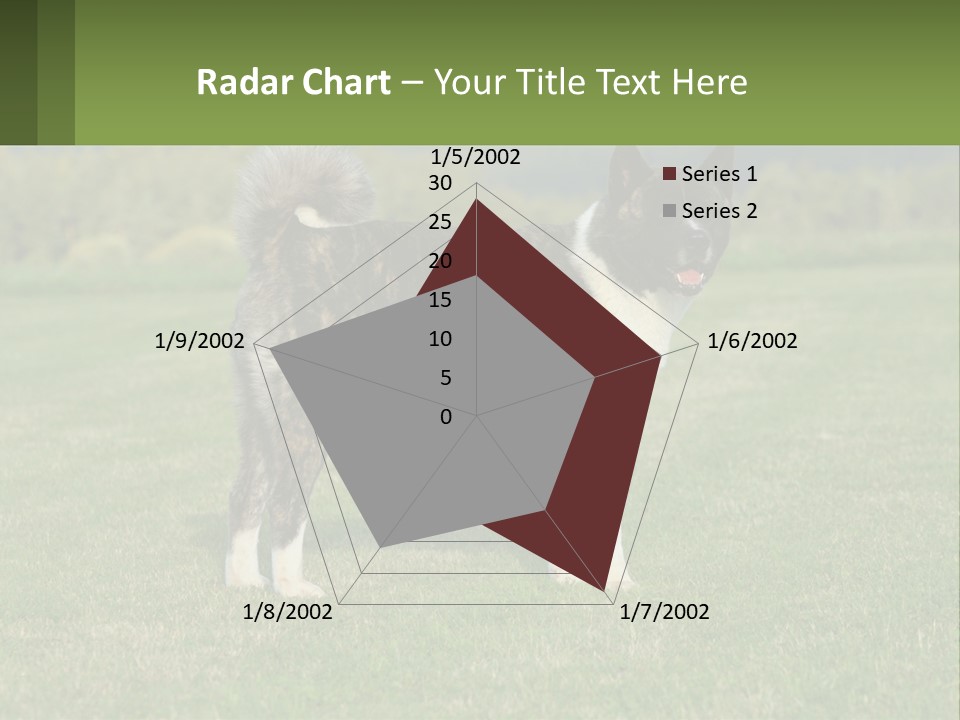 A Brown And White Dog Standing On Top Of A Lush Green Field PowerPoint Template