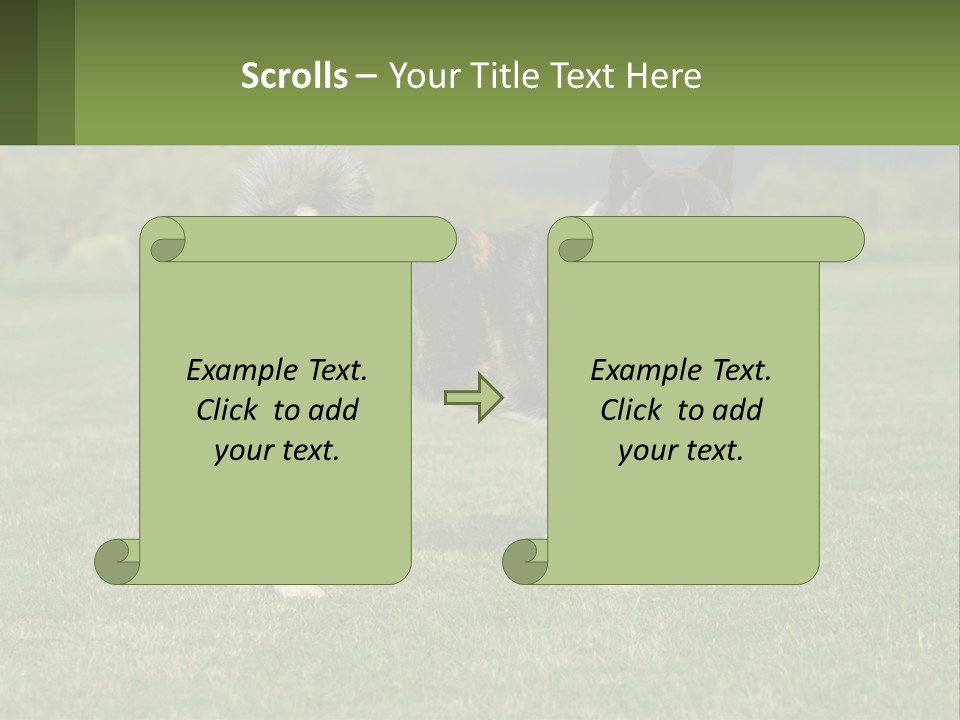 A Brown And White Dog Standing On Top Of A Lush Green Field PowerPoint Template