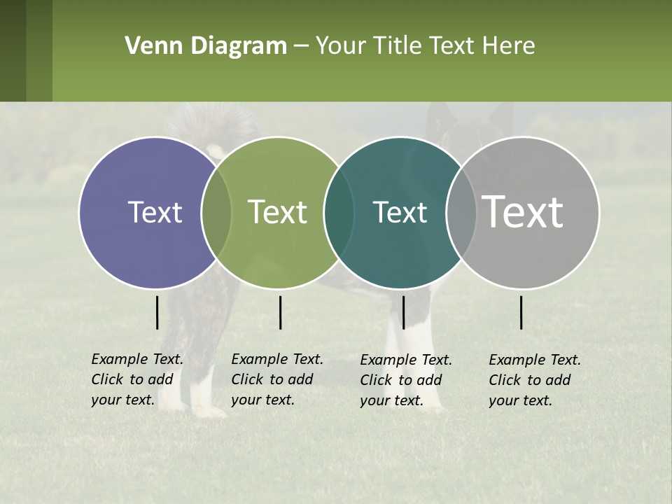A Brown And White Dog Standing On Top Of A Lush Green Field PowerPoint Template