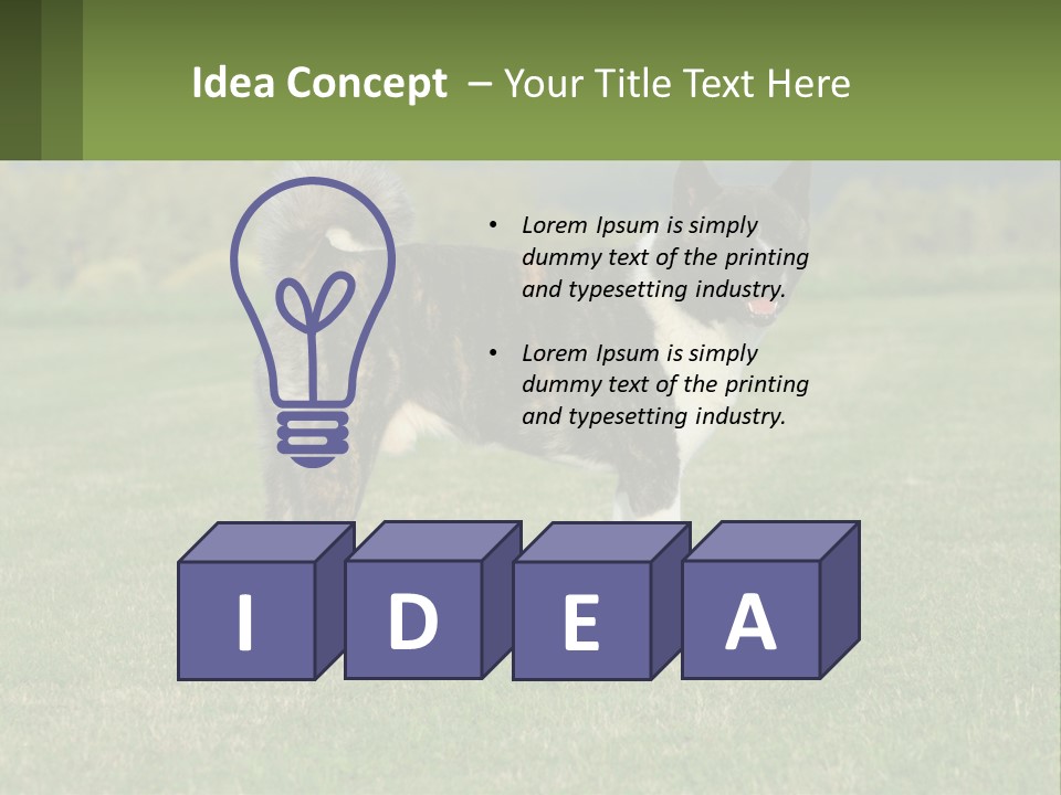 A Brown And White Dog Standing On Top Of A Lush Green Field PowerPoint Template