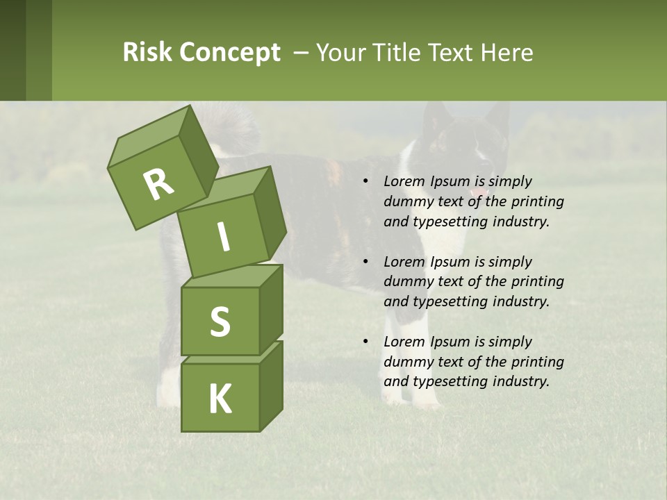 A Brown And White Dog Standing On Top Of A Lush Green Field PowerPoint Template