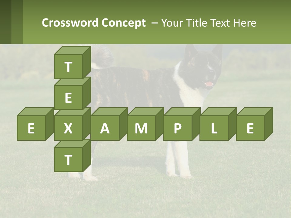 A Brown And White Dog Standing On Top Of A Lush Green Field PowerPoint Template